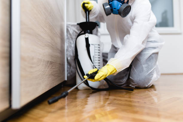 Best Pest Control Near Me  in Fairfax, OH