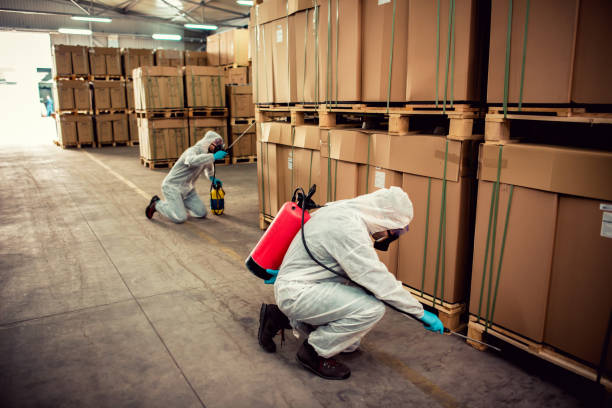 Best Affordable Pest Control Services  in Fairfax, OH