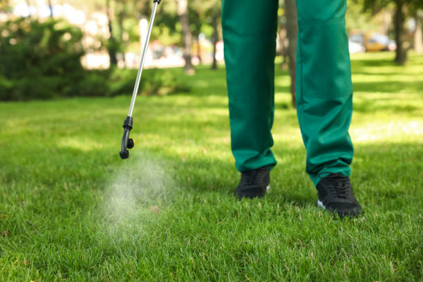Best Pest Prevention Services  in Fairfax, OH
