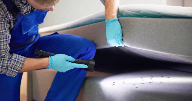 Best Mosquito Control Services  in Fairfax, OH