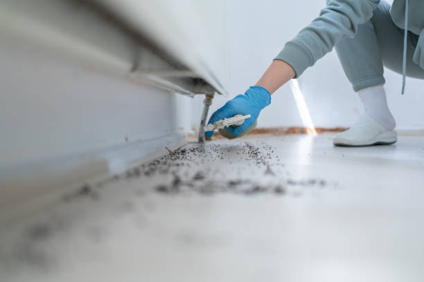 Trusted Fairfax, OH Pest Control Experts
