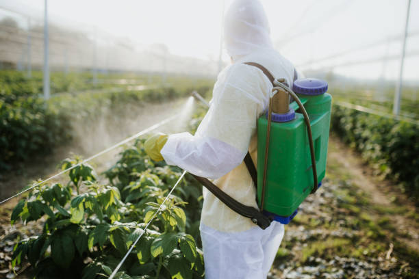 Best Ant Control Services  in Fairfax, OH